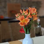 Bed & Breakfast Naturhotel Forsthaus 3*