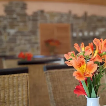 Naturhotel Forsthaus Bed & Breakfast Annaberg-Buchholz