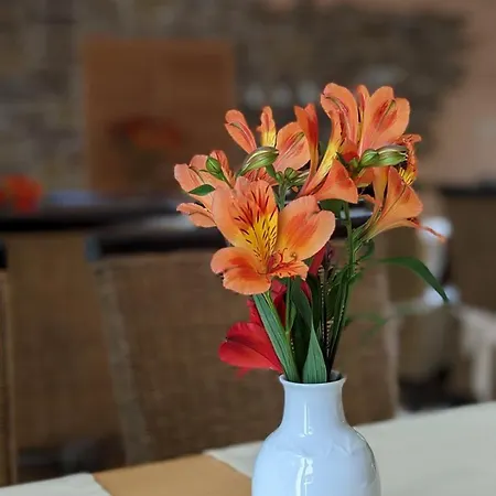 住宿加早餐酒店 Naturhotel Forsthaus 3*