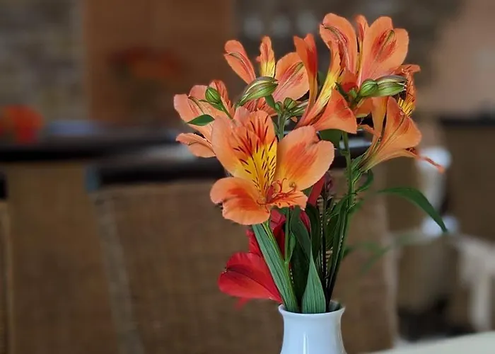 Bed & Breakfast Naturhotel Forsthaus 3*